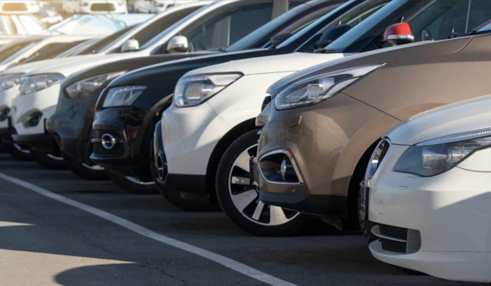 Used car lineup